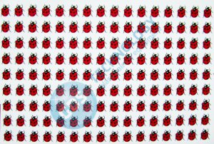 Ladybugs/70, 15x15mm