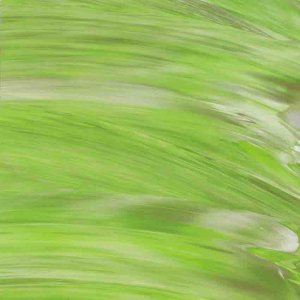 Barevná samolepící fólie na lepené vitráže SF504 – Lawn