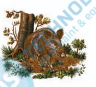 G 57474 Z09 KDV Wild boar 75, 75x60mm