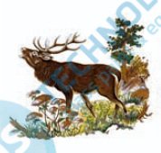 G 57474 Z07 KDV Deer 75, 70x60mm