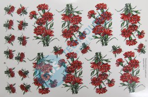 Carnation- glass decal