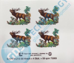 G 57474 Z13 Deer 30